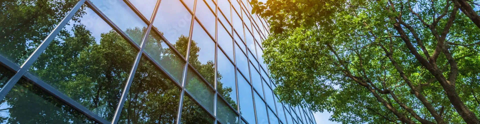 Supporting the workplace transformation and continuing the managerial and cultural transformation